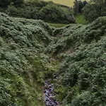 Howgill Head