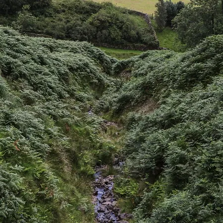 Howgill Head
